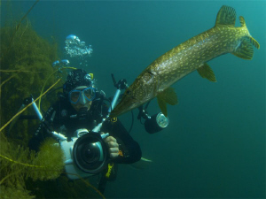Mitch and THE pike, very nice dive & great w-end! by Sven Tramaux 